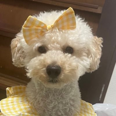 いつも素敵な時間をありがとう♡ライブはファンタジー♡昭ちゃん大好き〜♡昭ちゃん、ロックオン、ナリトマ♡大好きに浸りながら毎日幸せに過ごしたい!極貧保育士ですが楽しく生きてます。もっと幸せになる♡♡