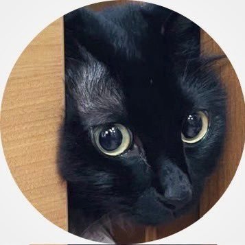ふたつきんさんのプロフィール画像