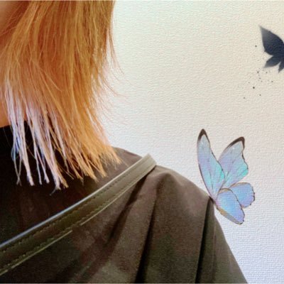 もきゅりあさんのプロフィール画像