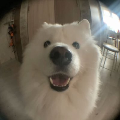 Masrhmallowwww's profile picture. 𝗬𝗼𝘂𝗿 𝘀𝗺𝗶𝗹𝗲 𝗶𝘀 𝗺𝘆 𝗵𝗮𝗽𝗽𝗶𝗻𝗲𝘀𝘀 @linglingsirilak @ormmormm  𝗙𝗮𝗻 𝗮𝗰𝗰