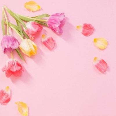 役者さん応援用のアカウントです♡育児と推し活の両立に悩む30↑。現地あんまり行けません。グッズあんまり買いません。マイペースに応援中です。忍たま好きです♡
