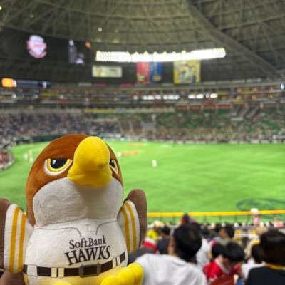 sukai_1031's profile picture. 