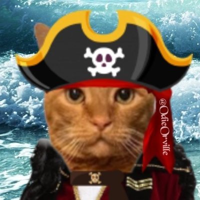Spunky ginger kitty! 🐱 The Donut King 🍩👑
#ZSHQ #Hedgewatch #donutpack #OdiesDonutArmy
🚫 POLITICS- PORN- DONATION REQUESTS- CRYPTO/NFTs- BOTS. 🚫 LISTS