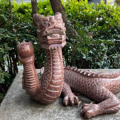 kya_pepe's profile picture. 公認会計士32歳 🇩🇿🇨🇻