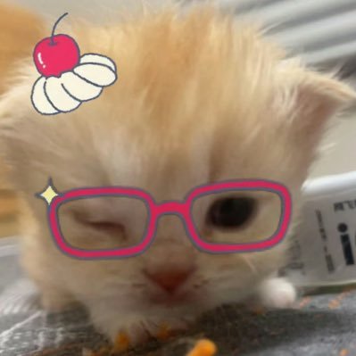 syh2026by's profile picture. 