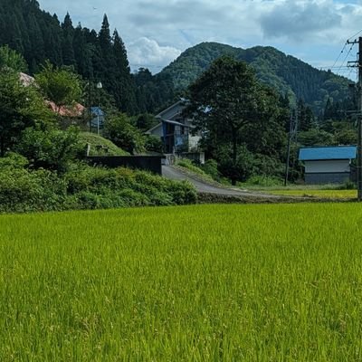 gubugubugubu124's profile picture. 