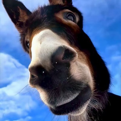 Finally20030522's profile picture. 