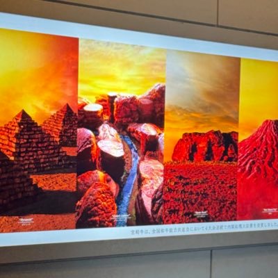 hxjz_e's profile picture. 左利き。 視力両眼裸眼1.5