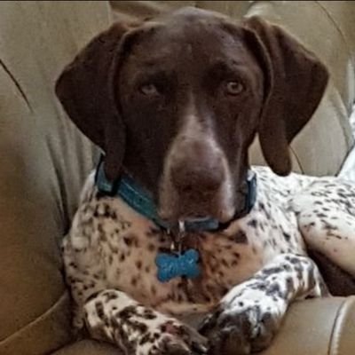 Cointuckeywind1's profile picture. Rural Untouchable,2A, constitutionalist,  Natural Selection, Sarcastic,
Hose dragger/Medic,🐝kpr
Hunt,fish,Bourbon & cigars