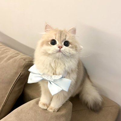 Izzycsxang's profile picture. The best feeling in the world is being able to say you did something for yourself without the help of anyone else.