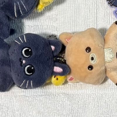 海遊館ミゾレからアザラー、全国の🦭に会いにいく予定。猫、KPOP、人様の手芸を見るのが好き。RIIZE🎸🦌リラズは箱推し 大人BRIIZE SHINeeからSM好き 手芸やキャラものが好きなので、素敵だなと思った方には無言フォローさせていただいてます💦