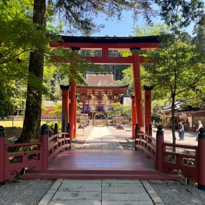 bow33333's profile picture. 