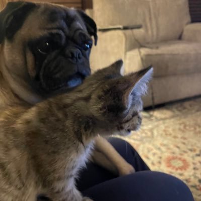 DeVriesAmy's profile picture. Community Advocate/Activist Opinions are my own.     #RESIST