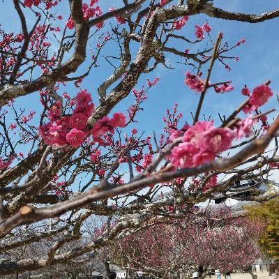 shunp22's profile picture. 