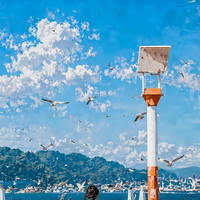 AguilarZac92152's profile picture. Believer in being spiritual and energetic and private. When not focused on a PhD in computer science, you'll find me enjoying blogging, surfing.