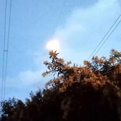 Jhoxn_z's profile picture. 