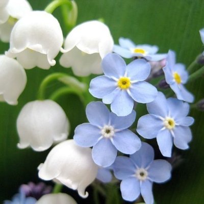 𝐂ry𝐋iam💧さんのプロフィール画像