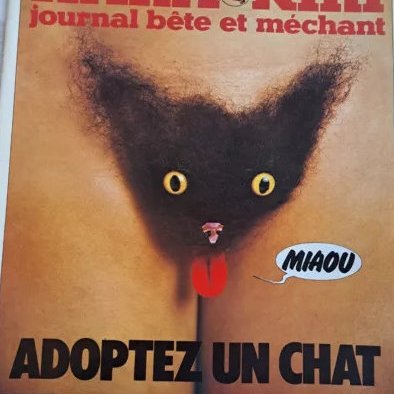 12c4jetorai's profile picture. ma mère m'a dit de ne pas parler aux étrangers surtout si ils écrivent de droite à gauche