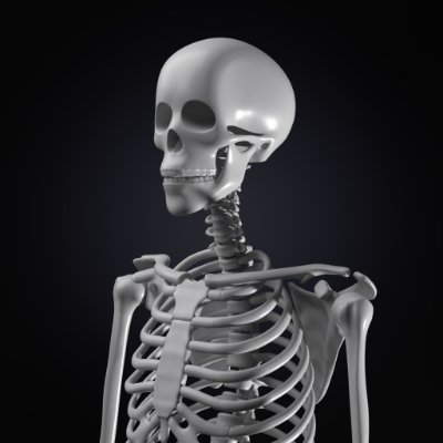 lhaje_jony's profile picture. trying to be engineer !
