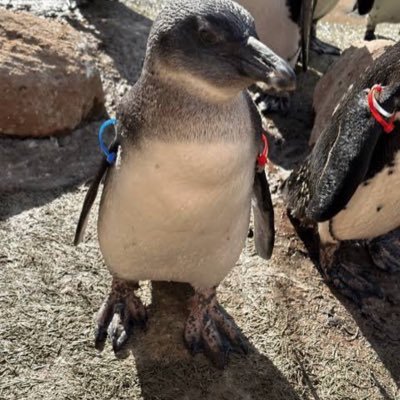 Dm9t3nSwNes8dWR's profile picture. エリートサラリーマン