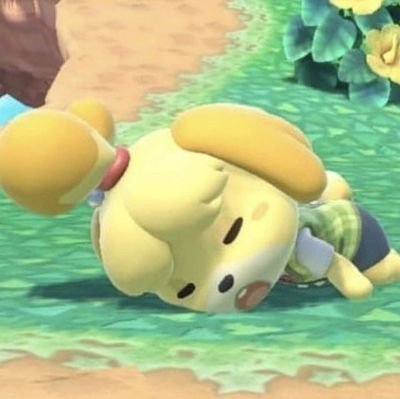 reunindo a comunidade br de animal crossing :) 🇧🇷 • sugestões via dm! | ela/elu | SW-4779-4183-7301