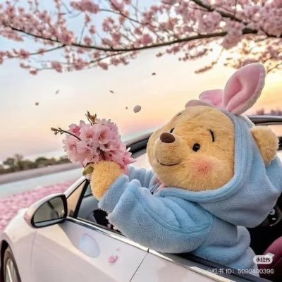 englow26's profile picture. 영어교육과 | 26수능 | 현역