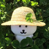 Squid 🌿 (@joyfulsquiddy) 's Twitter Profile
