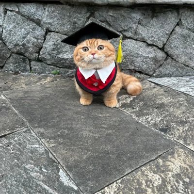 babiest5yo's profile picture. mood