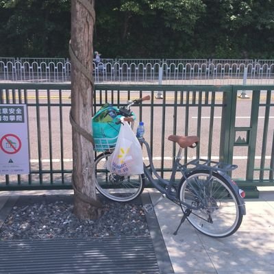 zhngtimng118707's profile picture. 