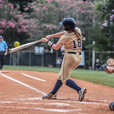Pitcher/Utility | EC Bullets 16u Brown/McLemore | Dacula High School. NCAA ID# 2507671863