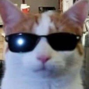 ppeokit's profile picture. 새해엔 정말 버생용으로만 씀 근데 개소리를 곁들인　　　　　　　　　　　　　　　　　　　
헉　　　　　　  　　                             　　　　　　　　　　　　　　　　　　　　                       책음악영화비디오에세이다큐게임etc계 @improvppk