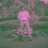 denny_cadel's profile image