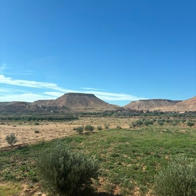 yolodog123's profile picture. M25 🇸🇬