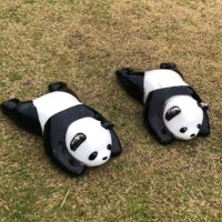 γγγ―γΎπ― (@shirahama_charm) 's Twitter Profile