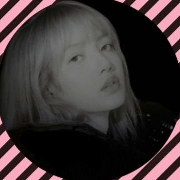 lisa, tae and taylor over flowers (기로)
(fan account) (filtered notifs)