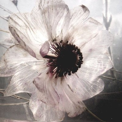 salahreply's profile picture. 