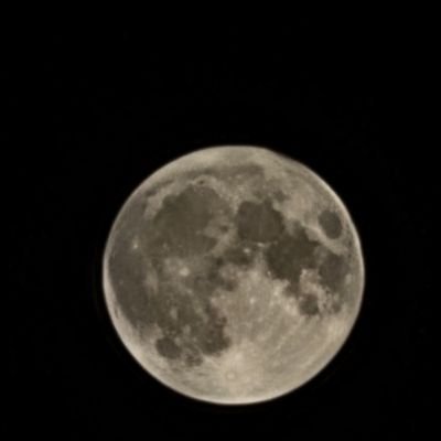 652RayRay's profile picture. Male, Straight, 6.5 in