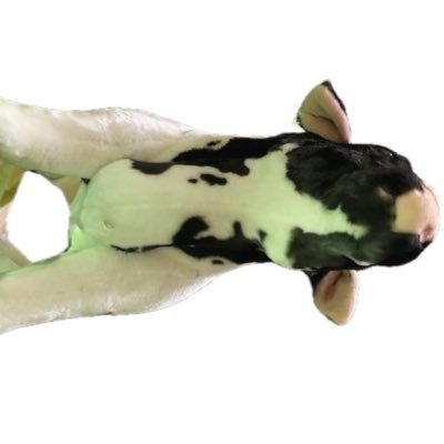 stun_623's profile picture. いしのなか