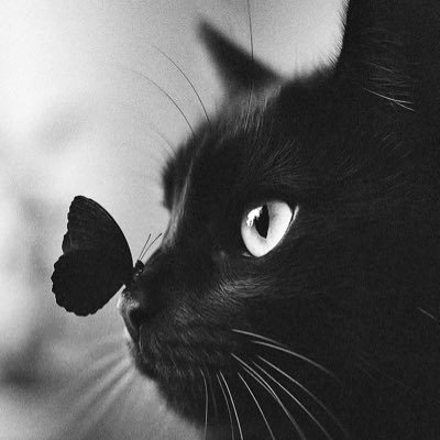 snenamilena's profile picture. 