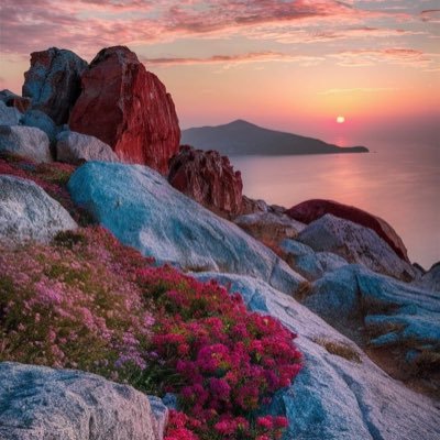Sharing the beautyofnaturethrough stunning photos.Explore forests,oceans.#NatureLovers Posting daily nature photography.Follow for your daily dose of the wild!