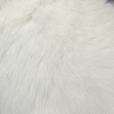 il1938826781167's profile picture. 