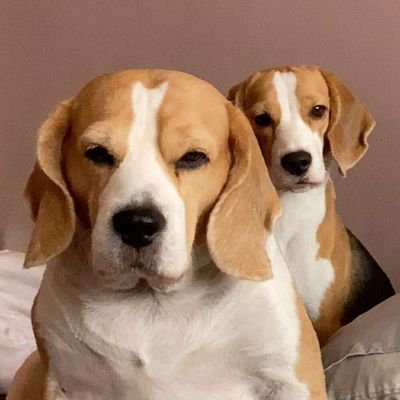 csmnsle's profile picture. 