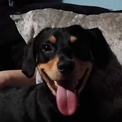 Deathstroke7890's profile picture. One life. One Religion. Leeds till I die. Marching On Together. Born Leeds will die Leeds. Avid xbox gamer. Fifa 21 is Shite though.