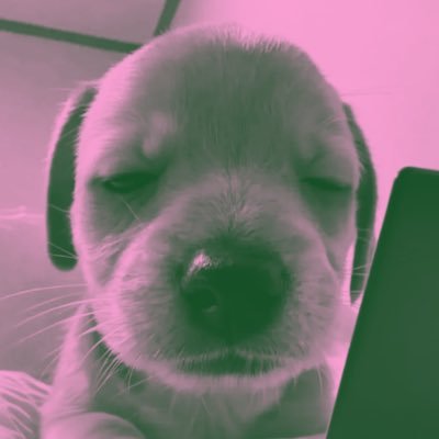 bertaniya's profile picture. daripada tersesat di jalan | she/her