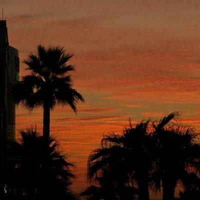 R_dance0's profile picture. 