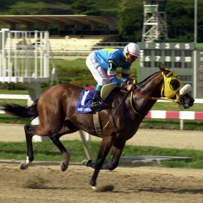 Pronosticador: Hipismo nacional e internacional, eliminados de lujo para La Rinconada, parley y Lotto Activo. Aqui jugamos afincados || Publicidad al DM 📩
