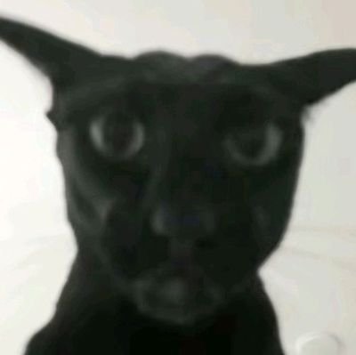 Jeins4312046531's profile picture. 