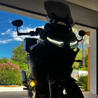 Mb7Bra's profile picture. Fanatics 1988 🐉⚪️Ⓜ️