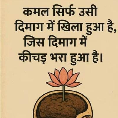 najm_usmani's profile picture. 