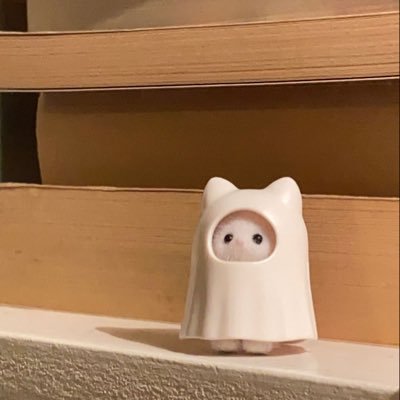 zsobof's profile picture. 반짝반짝